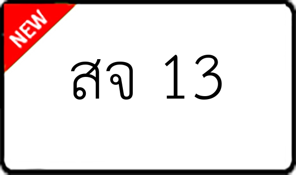 สจ 13